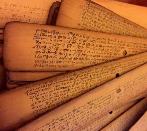 Agasthiya Nadi Palm Leaf Manuscript