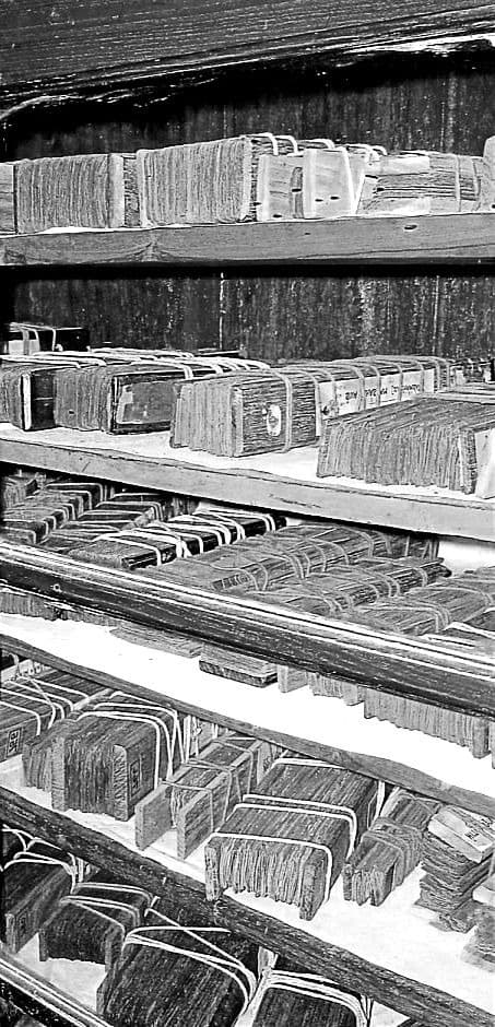 Vintage Palm Leaf Grantha Archive