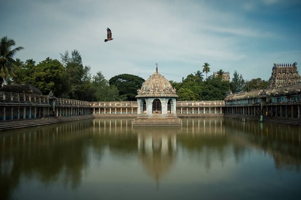 Vaitheeswaran Kovil Siddhamirtham Lotus Tank and Rajagopuram